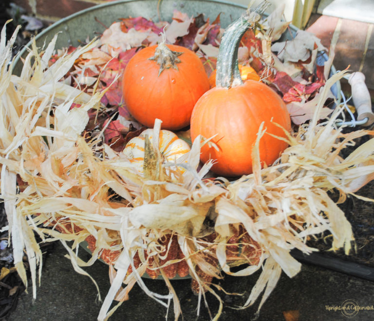 Diy Natural Fall Garland Upright And Caffeinated 